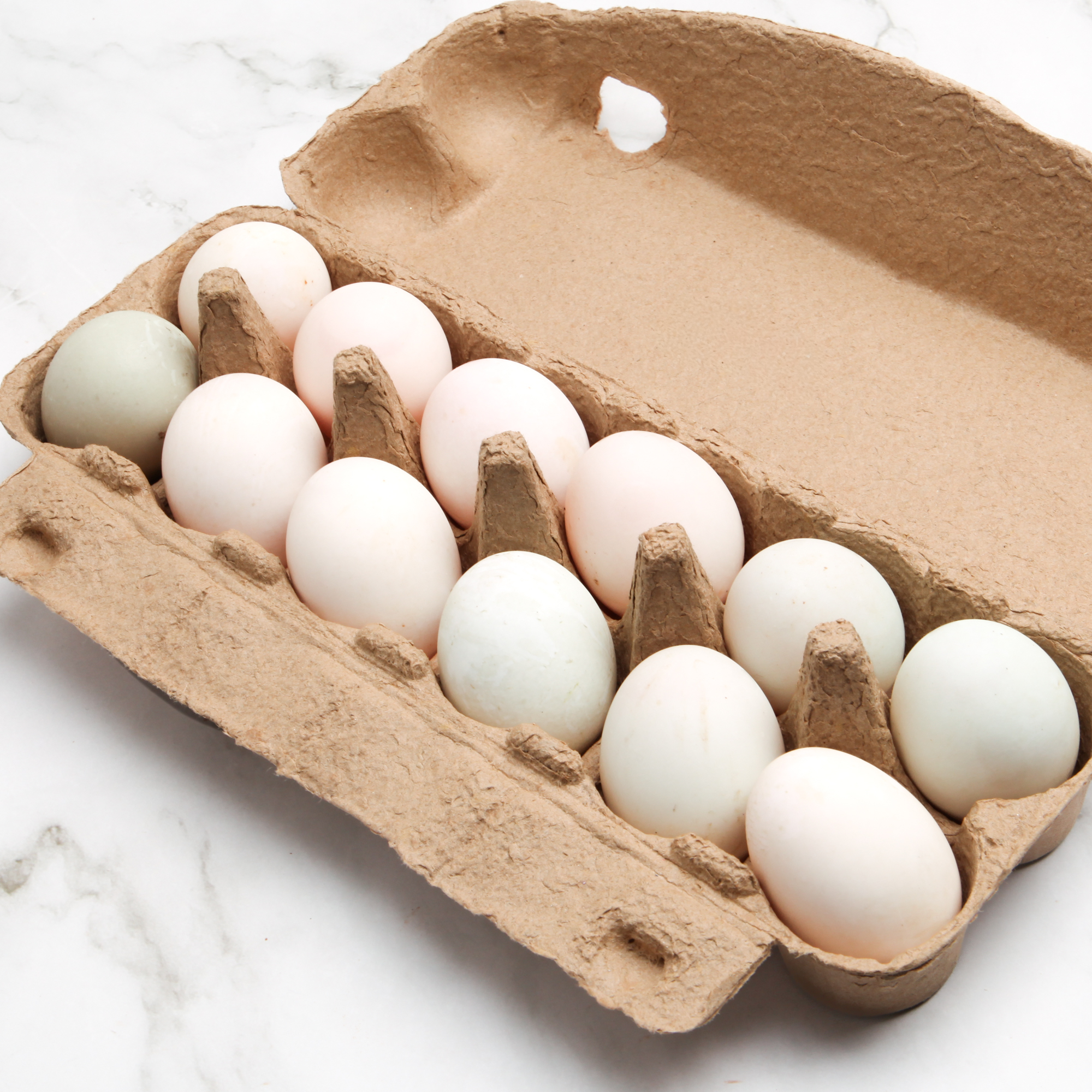 Organic Duck Eggs, 12-Pack - GO Organics
